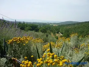 casaemilia2 - Image 3