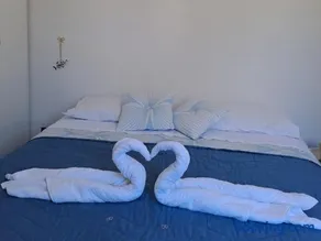 Il nido dei nonni - Image 3