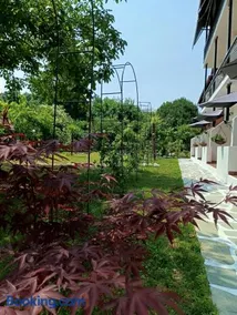 Achillion b&b - Image 2