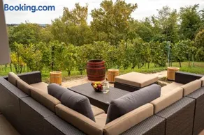 Balaton Cottage - Your Hide Away - Image 4