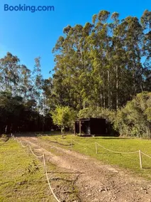 Cabana de teto de vidro - Image 4