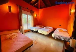 Finca la manchega - Image 4
