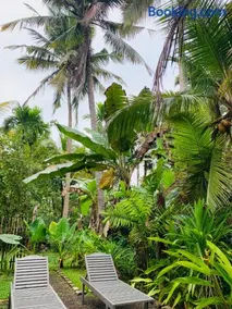 White Heaven Villa - Image 5