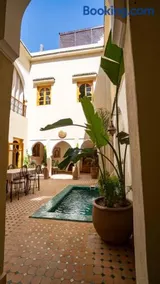 Riad Saadaoui - Image 1