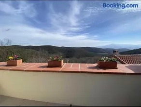 La terrasse des oiseaux - Image 5