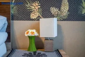 Pokoje z widokiem na góry i Prywatny Domek z zadaszoną altaną - grillem i ogniskiem. - Image 5