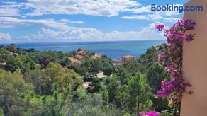 Seaview house, close Cannes, pool, garden. garage - Image 4