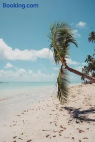 AP Peroba Maragogi - Alagoas - Image 2