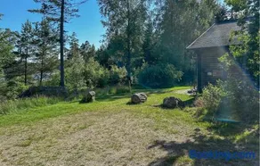 Rådjuret - Image 3
