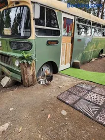 Banksia Bus - Image 3