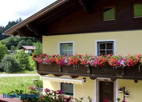 Appartement Gleiminger - Image 1