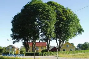 Vegby Bolsgård "Annexet" - Image 2