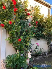 Charmant studio avec terrasse à Chenou, 20 m² - Image 3
