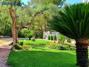 Guest House Antonia - Image 5