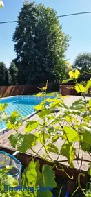 Green Willow Siedlisko - Image 2