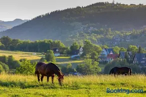 Siedlisko u Magdy Zakopane z widokiem na Tatry - Image 1