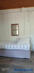 Canto da árvore - Image 4