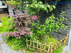 浜町小院 Guest House - Image 4
