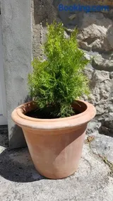 Casa Nora - Image 3