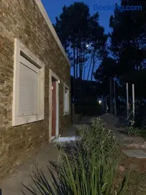 El colibri - Image 3