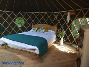 'Oak' Yurt in West Sussex countryside - Image 3