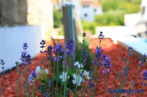 Apartments Yerkovic - Image 5