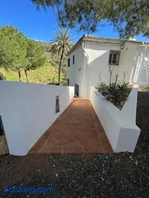 El bufon de la corte - Image 1
