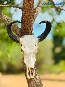 Yala Wadiya Wildlife Experience - Image 2