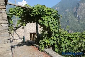 Casa Flora - Image 4