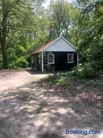 Vakantiehuis De Veldhoen vrijgelegen nabij de rivier de Vecht - Image 4