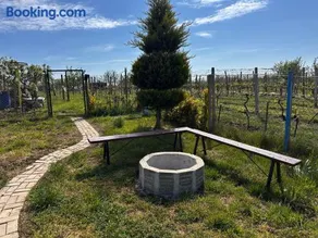 Winery oasis - Image 3