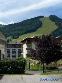 Somski Saalbach - Image 1