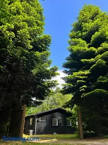 Liseleje sommerhus på naturgrund - Image 2