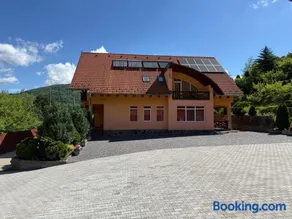 Vila Gemenii - Image 3