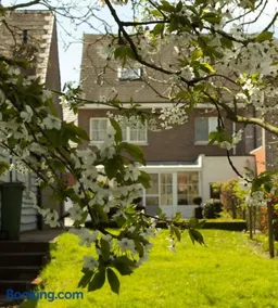 B&B Den Boomgaard Moorsel - Image 4