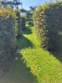 Ley Park - Image 3