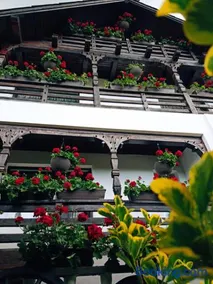 Pensiunea Casa Andreea - Bârsana Maramureș - Image 3