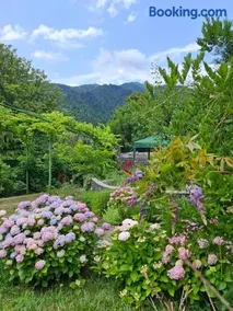 Villa Borjomi - Image 1
