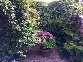 The Cottage - Image 2