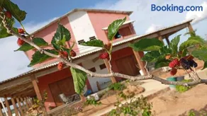Fazenda Terra Bonita - Image 4