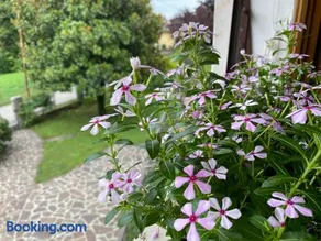 Residenza 38 - Image 2