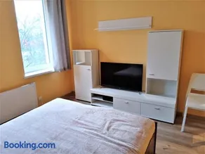Studio Daola - Image 3