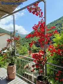 Casa Andreina - Image 2