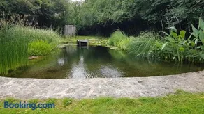 Roulotte climatisée avec piscine naturelle - Image 4