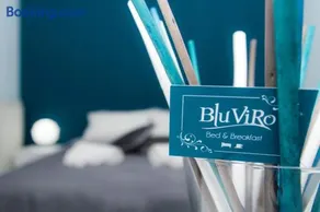 BluViRo - Image 1