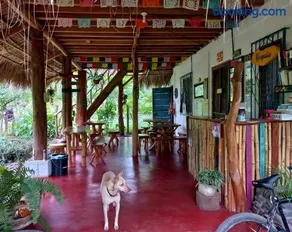 La Urraca Loca Hostel - Image 3