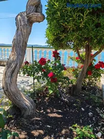 House Roko by the sea - Image 2