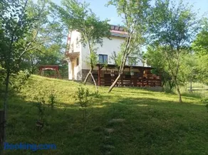 Casa Fluțar - Image 4