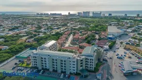 Palm Aruba 418 - Image 5