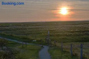 Seemöwe am Naturstrand - Image 3